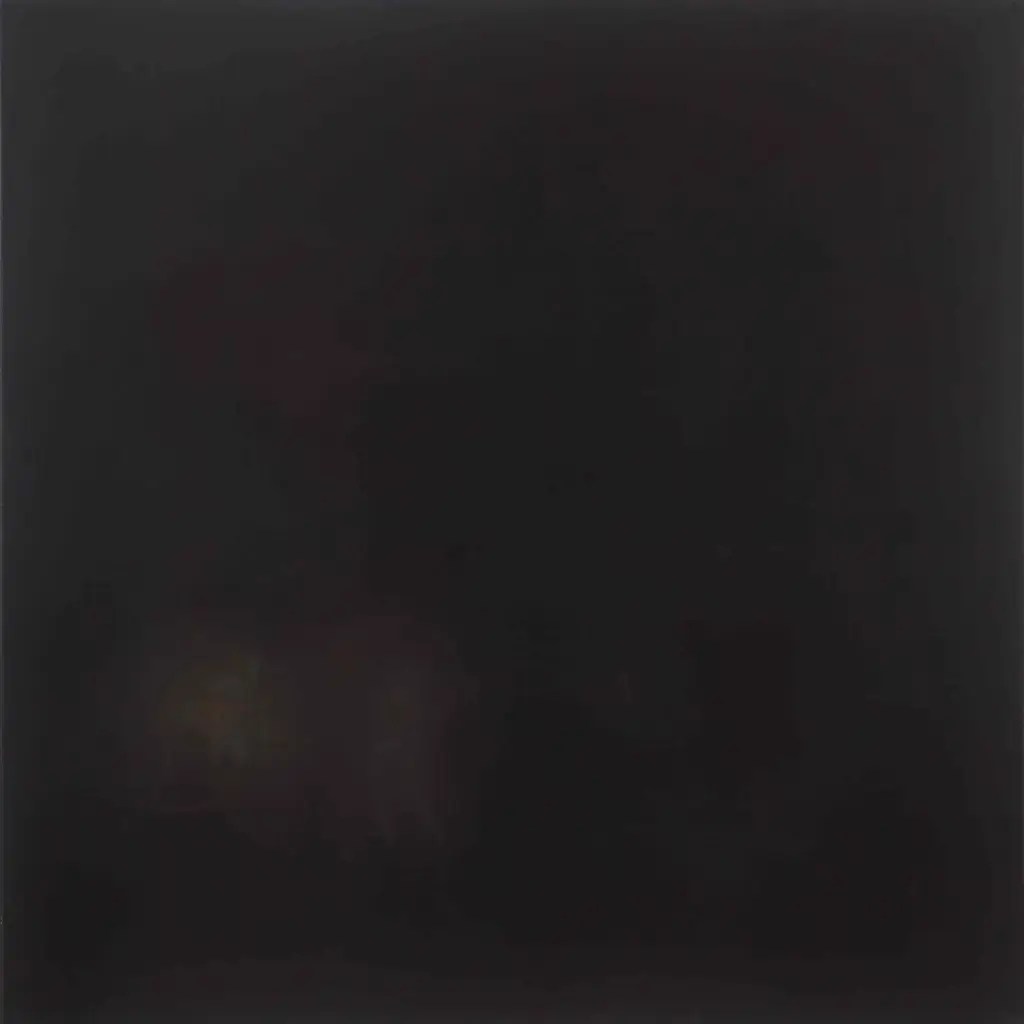 Phoebe Allwell Gallery